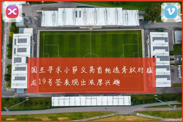国王寻求小萨交易首轮选秀权对猛龙19号签表现出浓厚兴趣
