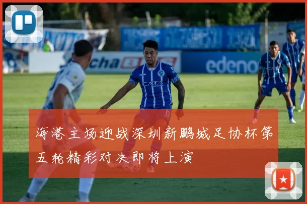 海港主场迎战深圳新鹏城足协杯第五轮精彩对决即将上演