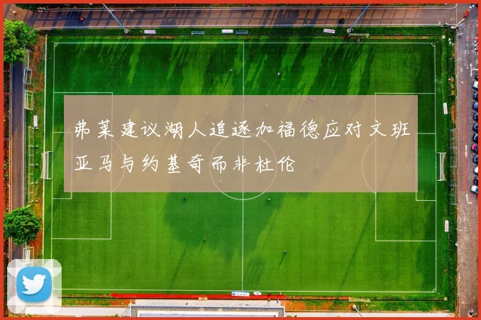 弗莱建议湖人追逐加福德应对文班亚马与约基奇而非杜伦