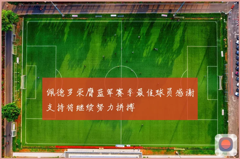 佩德罗荣膺蓝军赛季最佳球员感谢支持将继续努力拼搏